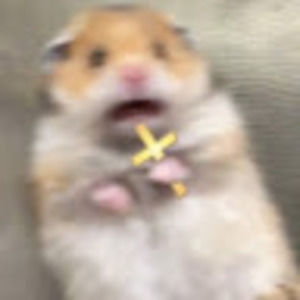 Meet your Posher, Meridel